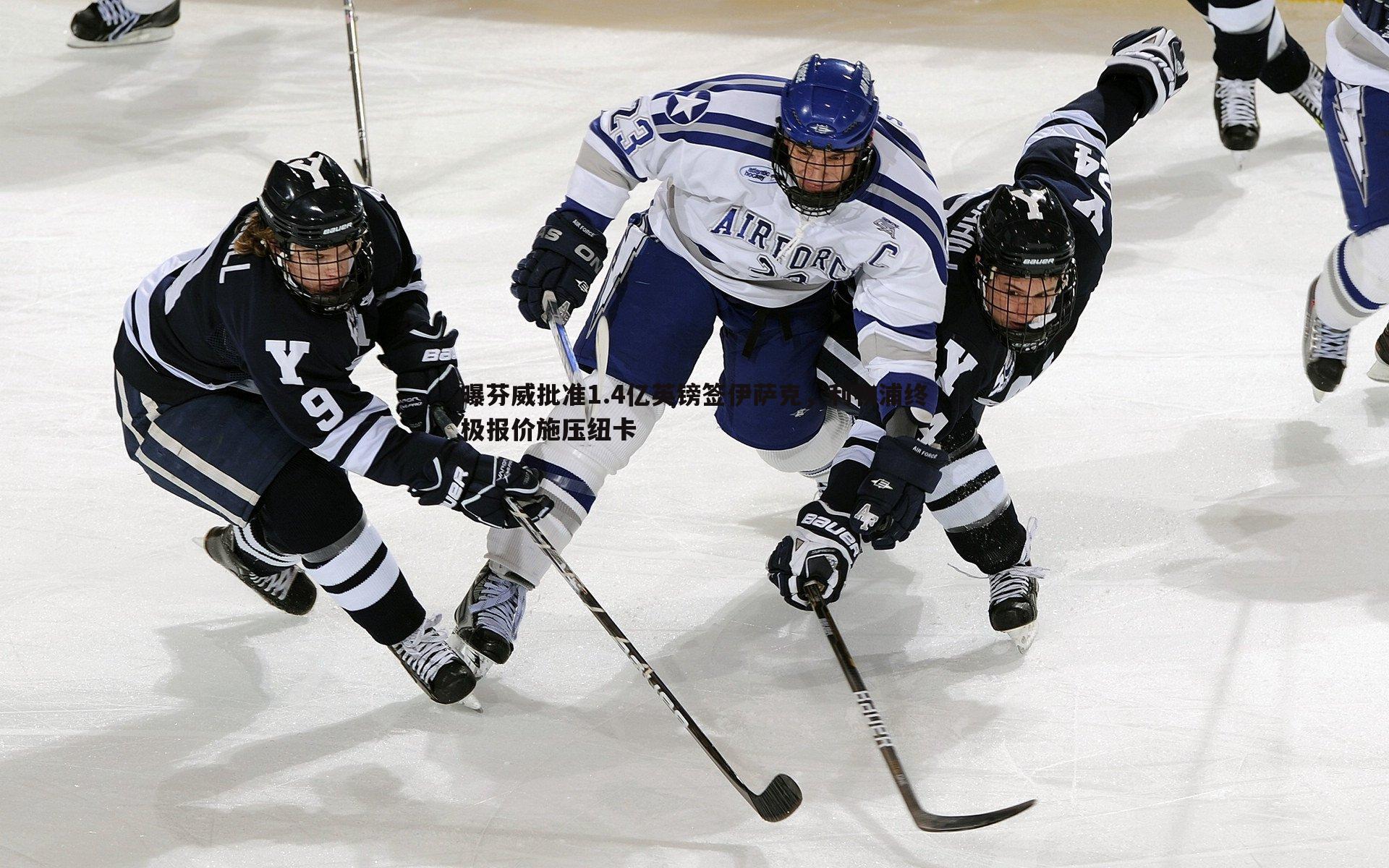 完美体育-曝芬威批准1.4亿英镑签伊萨克，利物浦终极报价施压纽卡