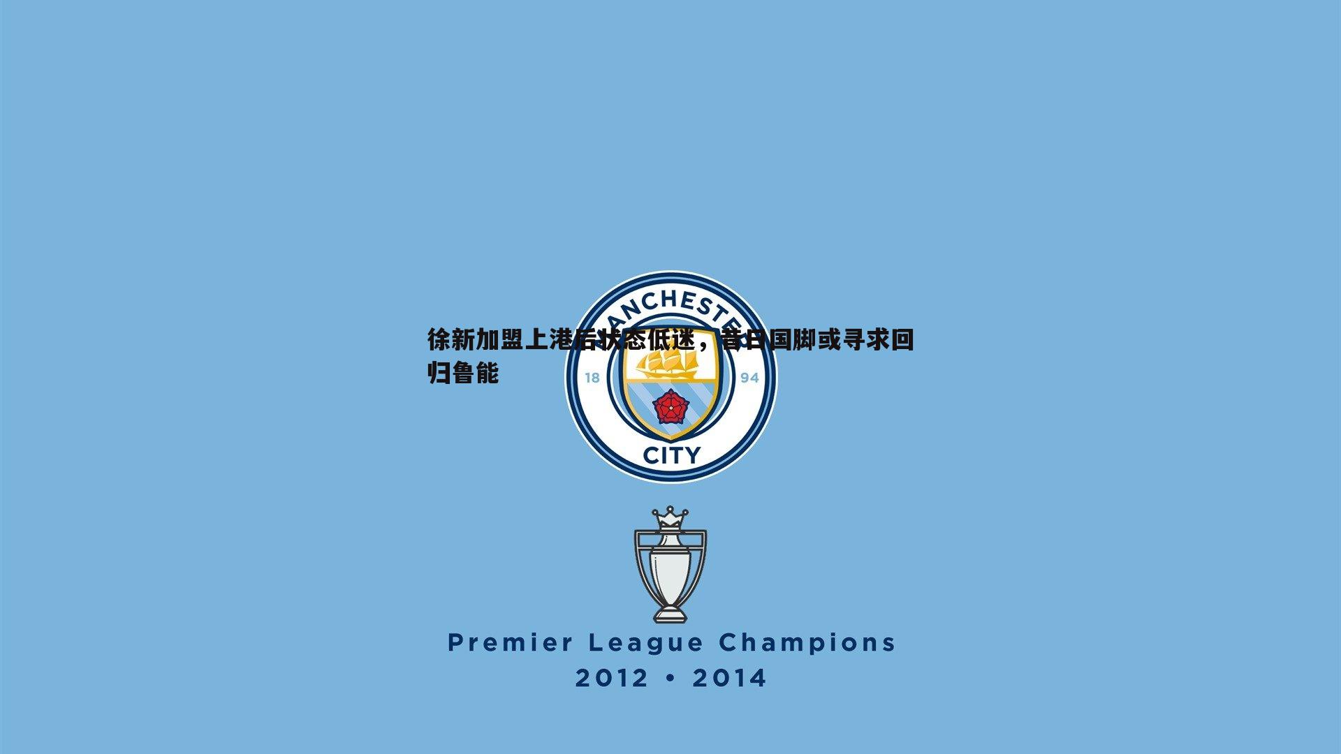 完美体育-徐新加盟上港后状态低迷，昔日国脚或寻求回归鲁能