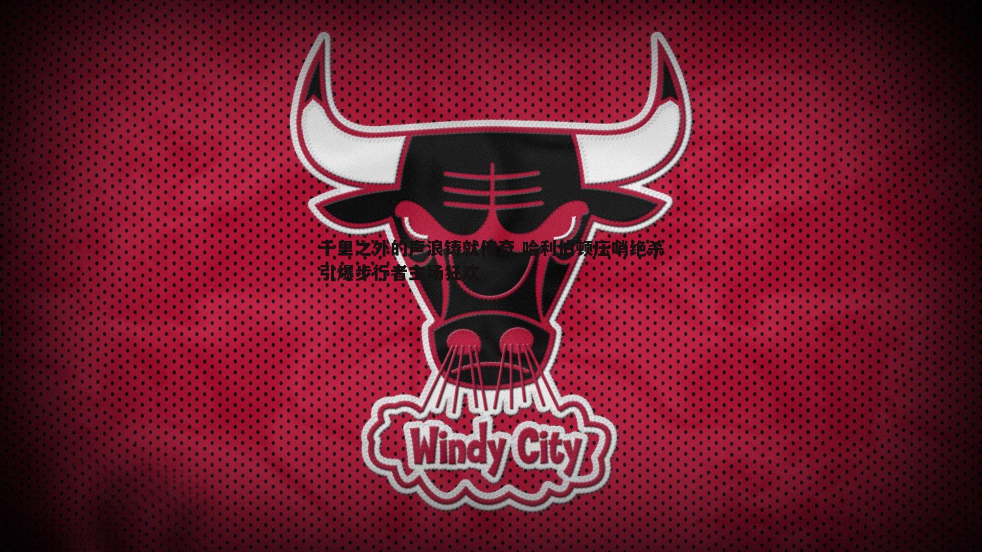 完美体育-千里之外的声浪铸就传奇 哈利伯顿压哨绝杀引爆步行者主场狂欢