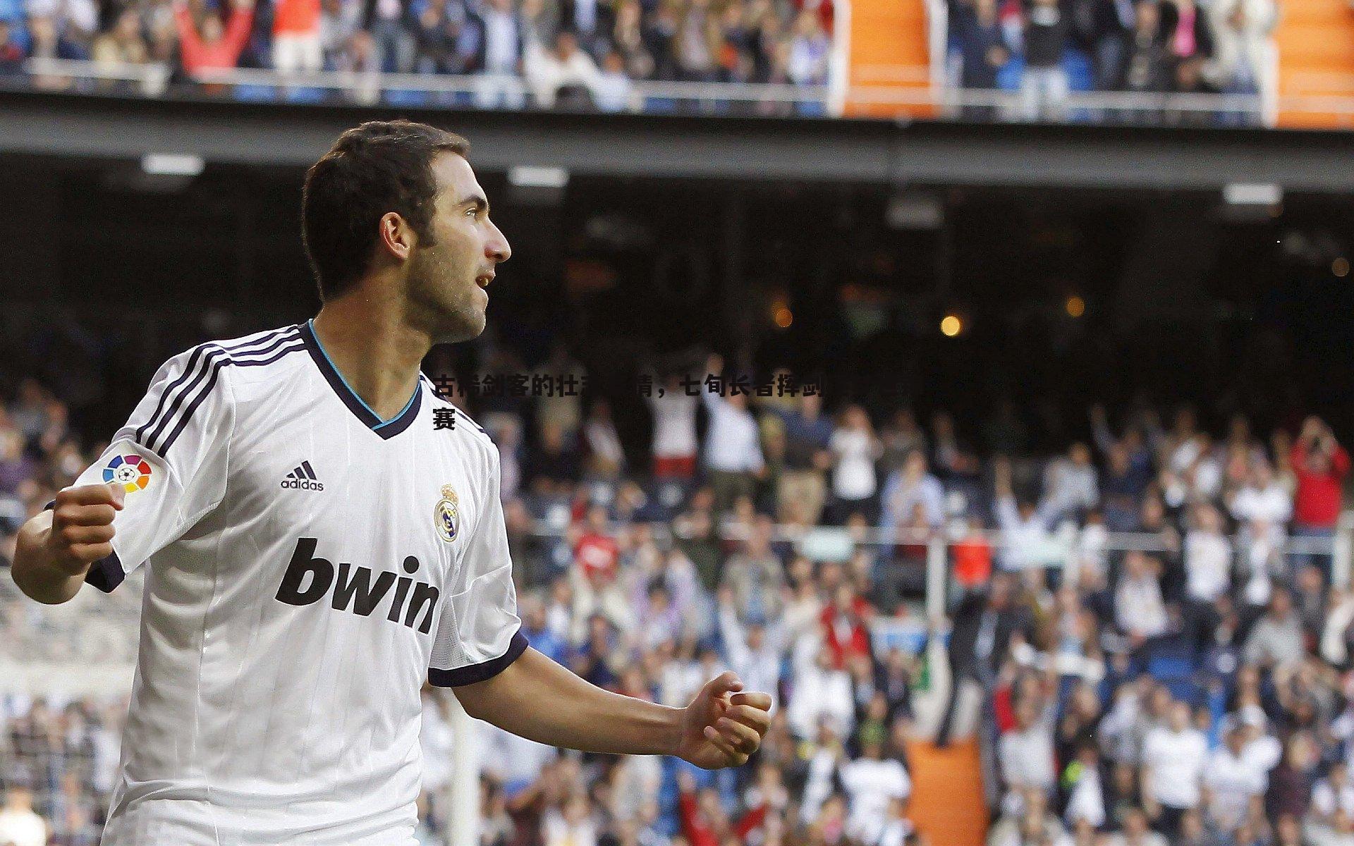 完美体育-古稀剑客的壮志豪情，七旬长者挥剑逐梦世锦赛